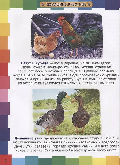 Животные мира.Энциклопедия для самых маленьких - фото 3