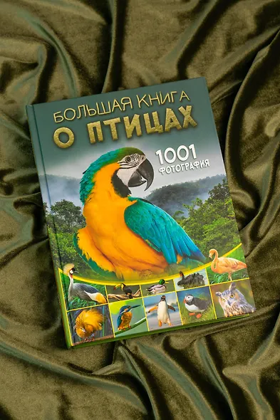 Большая книга о птицах. 1001 фотография - фото 7