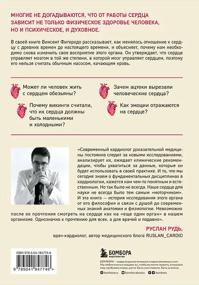 Прямо в сердце. Как главный символ любви превратился в главный орган кровообращения - фото 2
