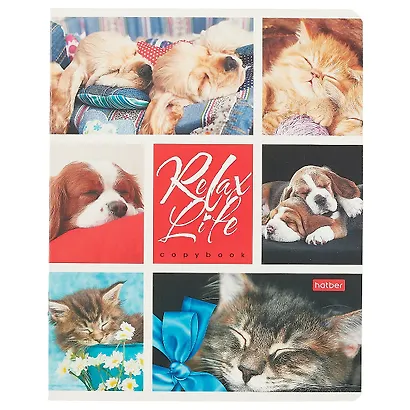 Тетрадь в клетку Hatber, Relax Life, 24 листа, в ассортименте - фото 1