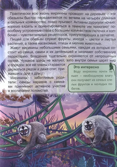 ЭНЦИКЛОПЕДИЯ. ХОЧУ ЗНАТЬ. ОБЕЗЬЯНЫ - фото 9