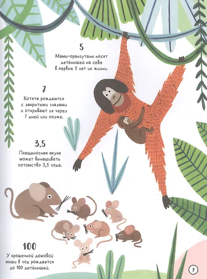 Сколько пятен у гепарда? - фото 8