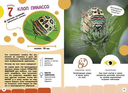 Самые необычные животные и места мира - фото 6