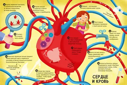 100 Интересных фактов. Мое тело. Наклей и узнай - фото 4