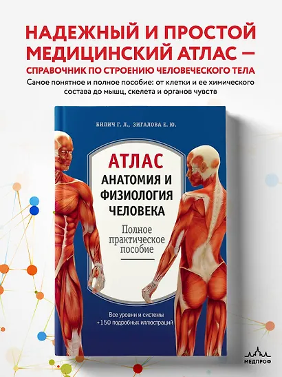 Атлас. Анатомия и физиология человека: полное практическое пособие. 2-е издание, дополненное - фото 4