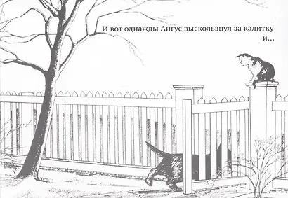 Ангус потерялся - фото 3