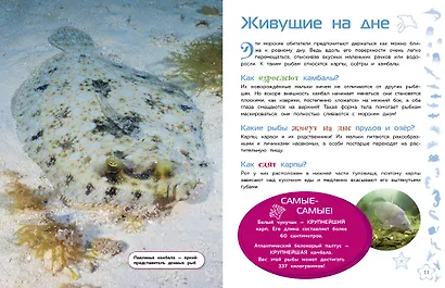 Морские животные - фото 5