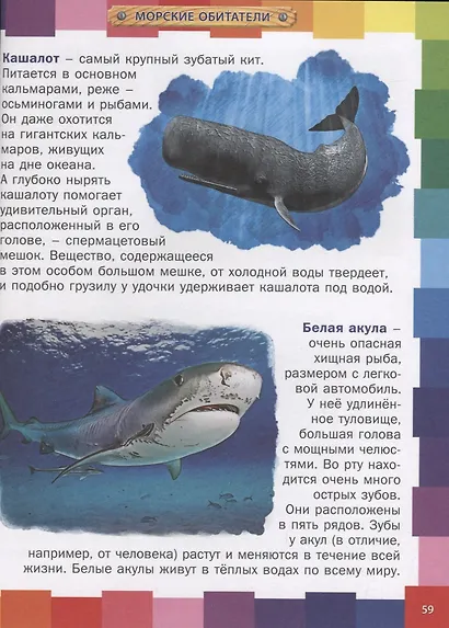 Животный мир для малышей.Детская энциклопедия - фото 3