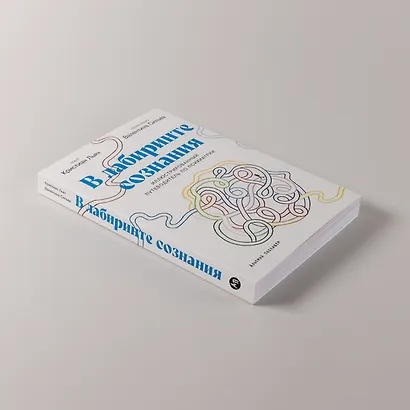 В лабиринте сознания: Иллюcтрированный путеводитель по психиатрии - фото 6