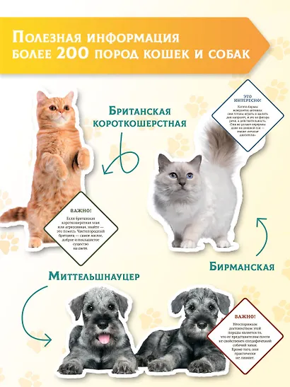 Большая энциклопедия о кошках и собаках - фото 6