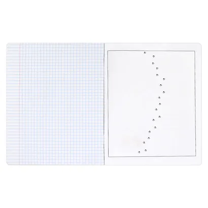 Тетрадь предметная в клетку Феникс+, "Любознательные коты. Биология", 48 листов - фото 6