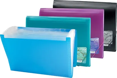 Папка на резинках «Vivid colors», 12 отделений, А4 - фото 4