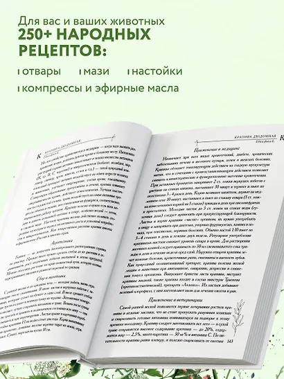 Аптечный огород. Справочник по сбору, хранению и применению целебных растений (новое оформление) - фото 6