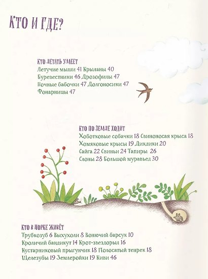 Невероятные носы - фото 3