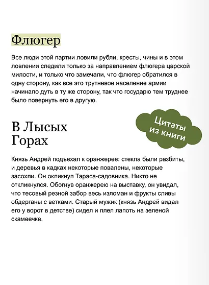 Война и мир. Том 3. Вечные истории. Young Adult - фото 6