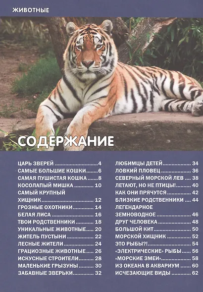 Животные мира. Детская энциклопедия - фото 2
