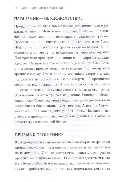 Книга прощения. Путь к исцелению себя и мира - фото 13