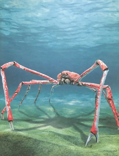 Удивительные животные. Энциклопедия - фото 3