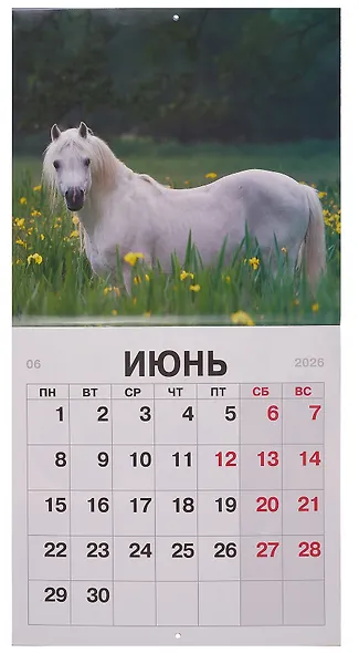 Календарь 2026г 300*290 "Символ года. 2" настенный, на скрепке - фото 4