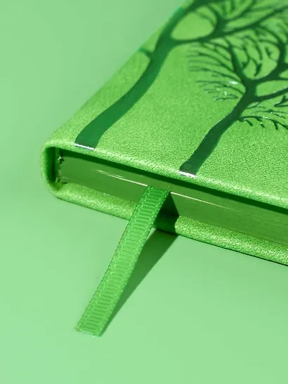 Ежедневник недат. А6+ 120л 110x190 "Тиволи" зеленый, кожзам, тв.переплет, тисн.фольгой, магнит.клапан, офсет, загругл.углы, справ.мат-лшы, ляссе, инд.уп - фото 14