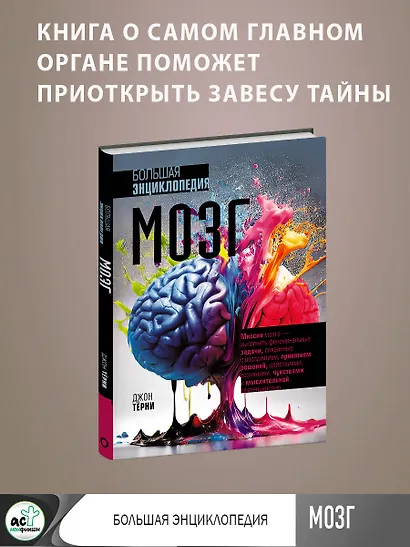 Мозг. Большая энциклопедия - фото 4