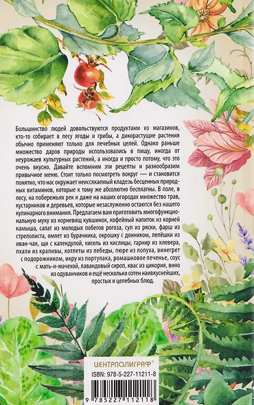 Блюда из дикорастущих растений. Неиссякаемый источник витаминов к вашему столу - фото 2