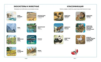Иллюстрированная энциклопедия животных - фото 3