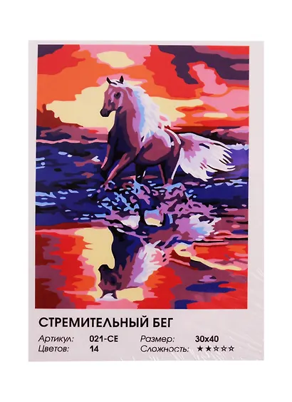 Живопись на холсте Стремительный бег (021-СЕ) (30х40см) (14цв) (Белоснежка) (6+) (коробка) - фото 2