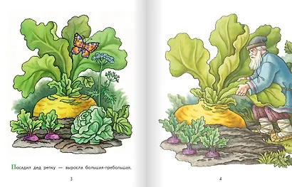 Репка: русская народная сказка - фото 2