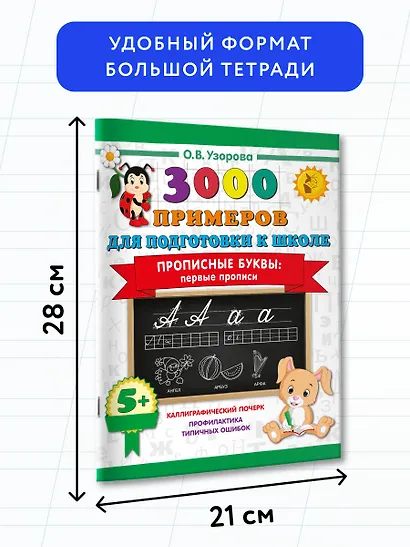 Прописные буквы: первые прописи - фото 7