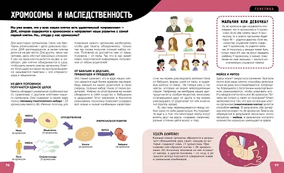 Тело человека. Самая анатомическая энциклопедия - фото 9