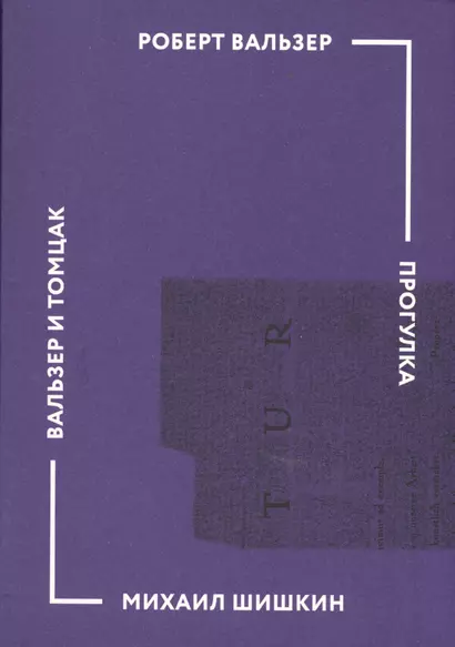 Прогулка (Роберт Вальзер). Вальзер и Томцак: эссе (Михаил Шишкин) - фото 1