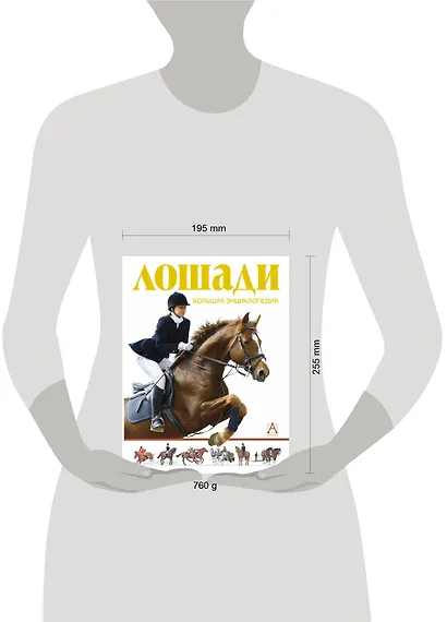 Лошади. Большая энциклопедия - фото 3