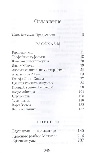 Едут леди на велосипеде: рассказы, повести, стихи - фото 2