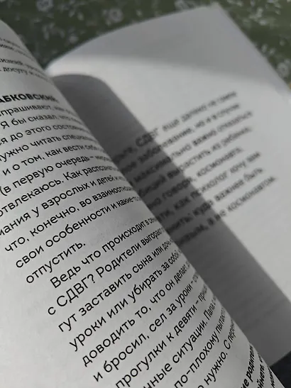 Ребенок-ракета, ребенок-ураган. Руководство по СДВГ для любящих и уставших родителей - фото 14