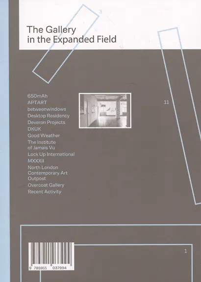 Галерея в расширенном поле / The Gallery in the Expanded Field - фото 2