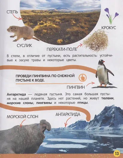 Моя большая книга о природе - фото 5