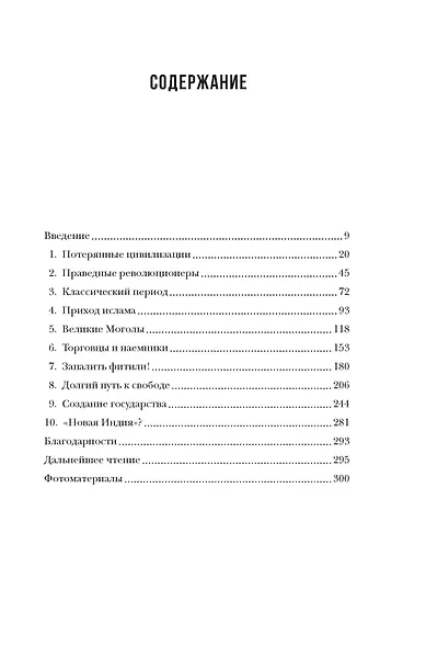 Краткая история Индии - фото 11
