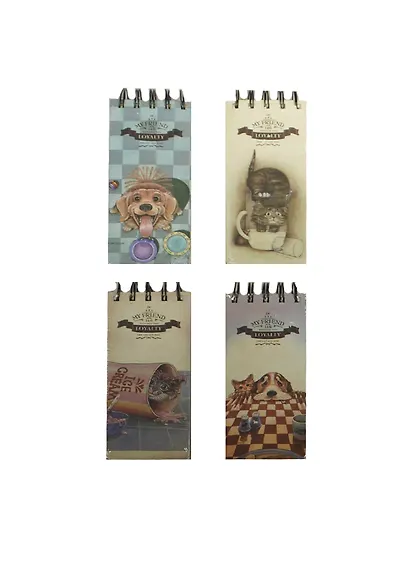 Блокнот А6- 120л 75*150 "My Friend" спираль, инд.уп, ассорти, Haich - фото 1