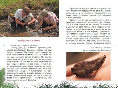 Как откопать своего динозавра - фото 2