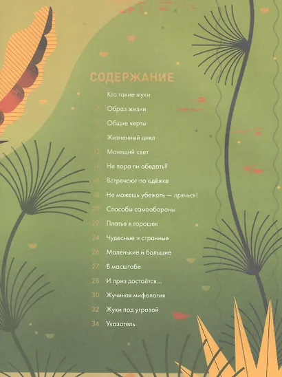Без ума от жуков - фото 3