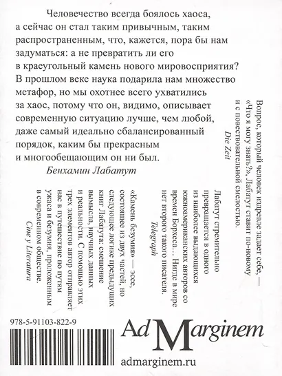 Камень безумия - фото 2