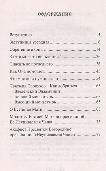 О помощи нам Царицы Небесной. Неупиваемая Чаша - фото 2