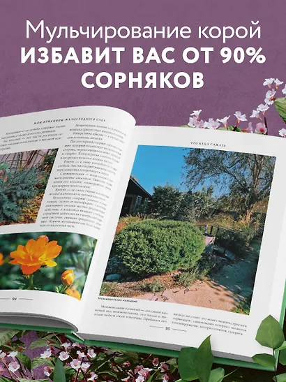 Секреты малоуходного сада. Как создать дизайн участка с неприхотливыми декоративными растениями - фото 6