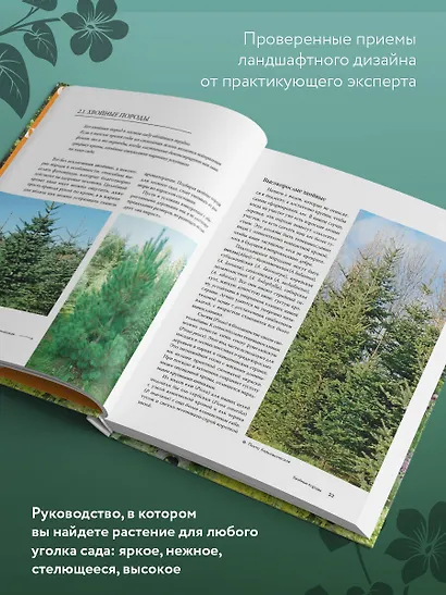 Лесной сад. Ландшафтный дизайн в гармонии с природой - фото 5