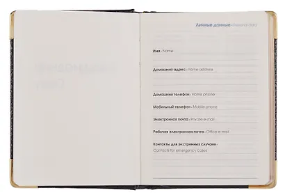 Ежедневник датированный 2026 год, А6, 176 листов, "Business Premium. Grand croco", черный - фото 3