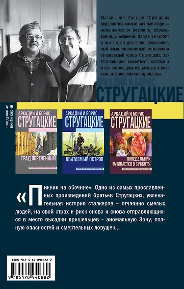 Пикник на обочине - фото 2