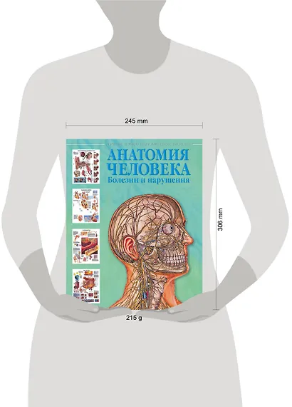Атлас анатомии человека. Болезни и нарушения - фото 3