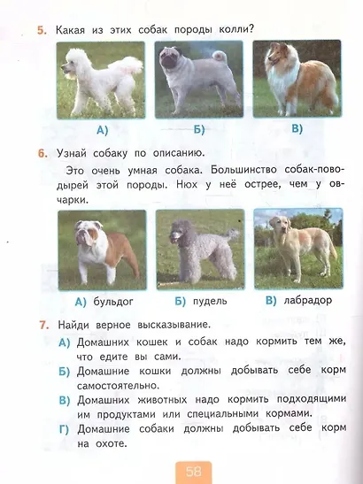 Окружающий мир. 2 класс. Тесты. В 2-х частях. Часть 1. К учебнику А.А. Плешакова "Окружающий мир. 2 класс. В 2-х частях" - фото 4