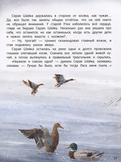 Серая Шейка - фото 5